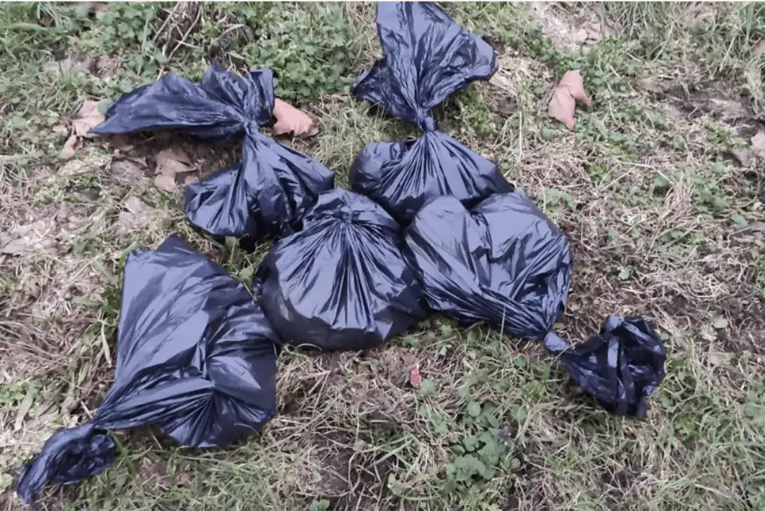Six Rabbits Brutally Mutilated and Dumped in Plumstead Woodland – RSPCA and Police Launch Urgent Appeal