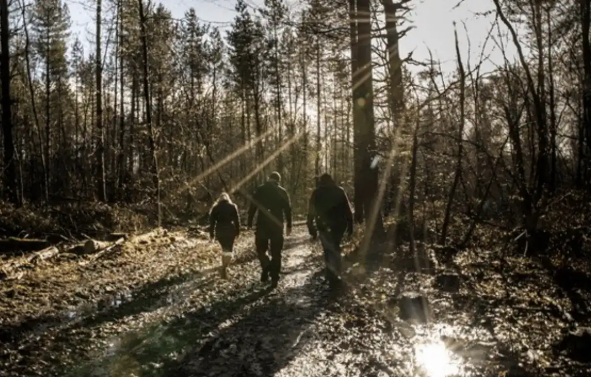 Young People's Climate Anxiety Is Soaring Due To Lack Of Access To Green Space, Says Woodland Trust