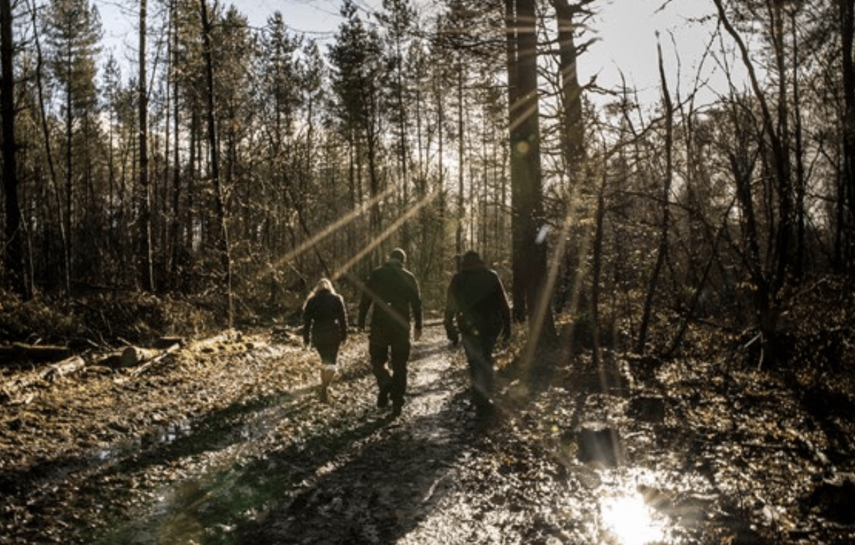 Young People's Climate Anxiety Is Soaring Due To Lack Of Access To Green Space, Says Woodland Trust