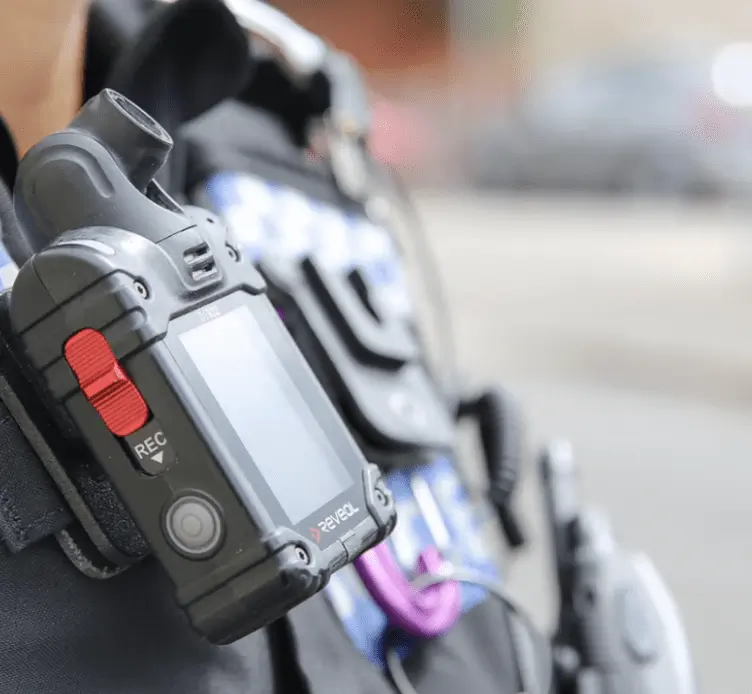 Police Are Appealing For Any Information Which Could Help Track Down A Woman Who Tried To Pull A Two-year-old Boy From His Mum’s Arm
