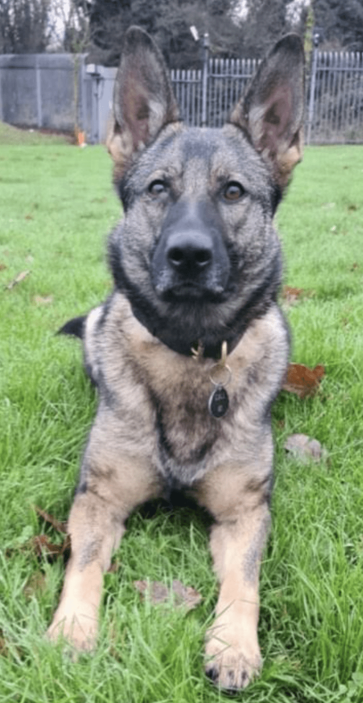 Two Men Have Been Arrested After An Attempt Was Made To Steal Metal From A Business In Canterbury