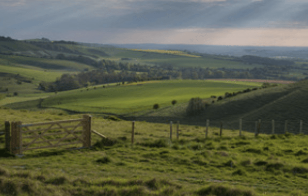 Greater Support For Farmers To Calculate And Reduce Their Emissions