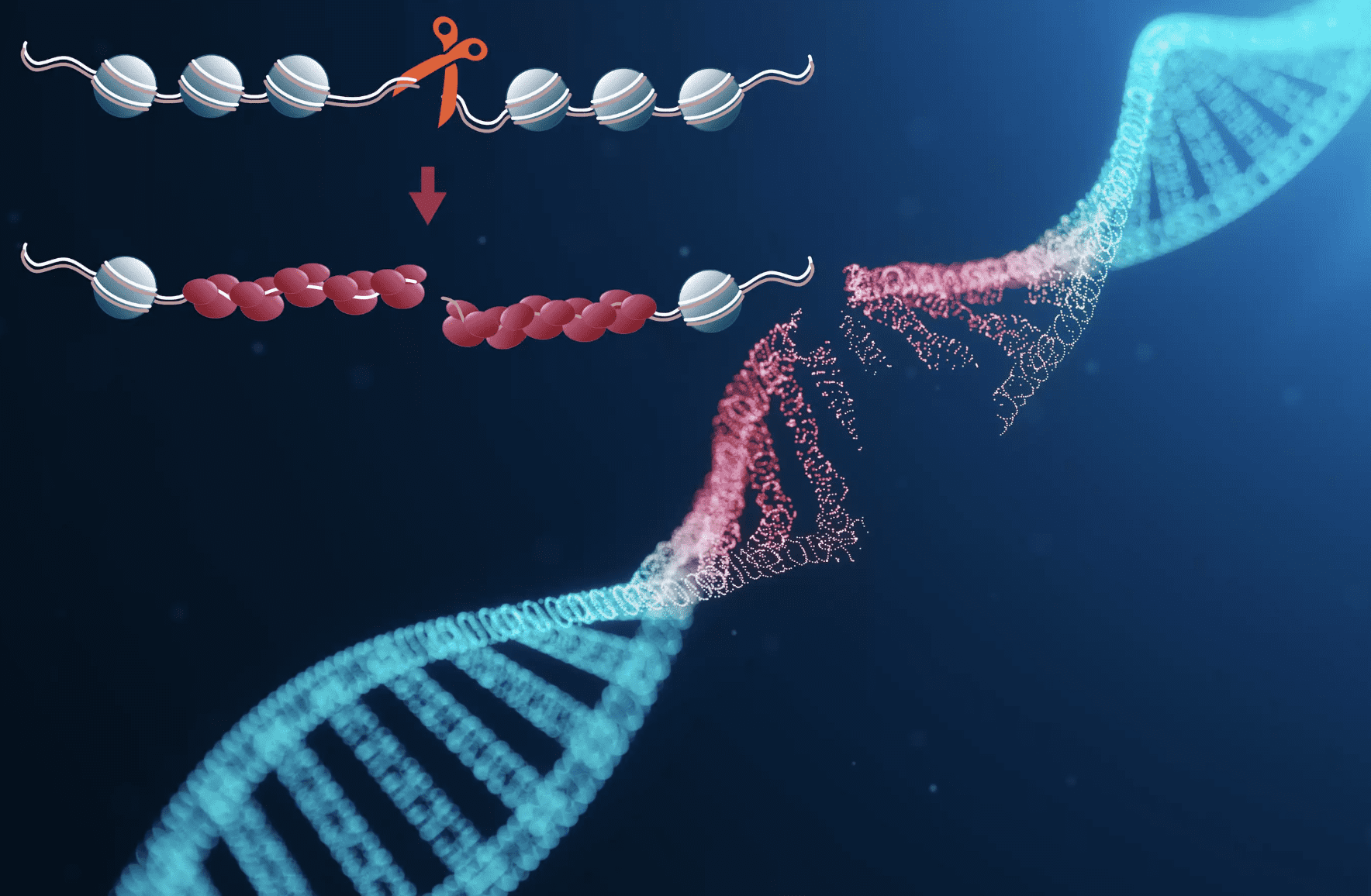 A Burglar Has Been Sentenced For An Offence He Committed 13 Years Ago After A Determined Officer Went Above And Beyond To Ensure He Faced Justice For The Crime