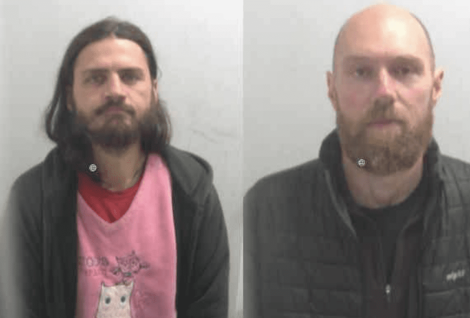 Two Men Have Been Sentenced After Causing Widespread Disruption Across The South-east When They Dangerously Climbed The Qeii Bridge At The Dartford Crossing