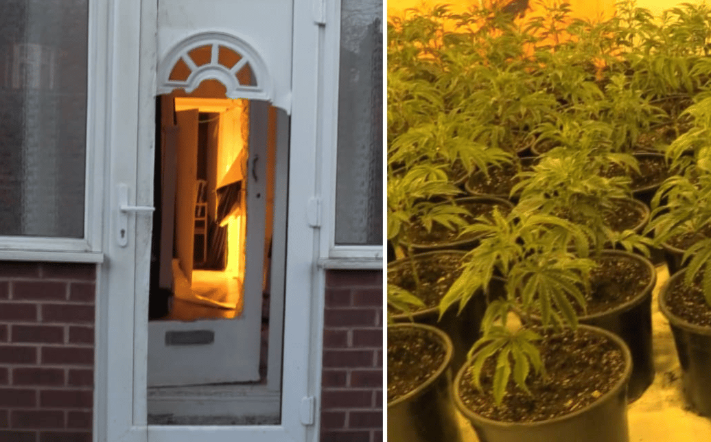 Two Suspects Are Due In Court After Proactive Police Work Uncovered A Cannabis Grow Across Two Houses