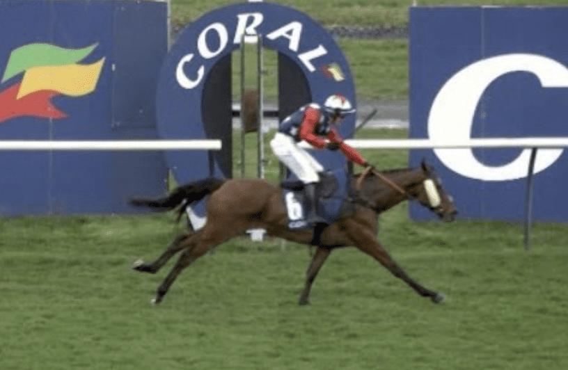 24 Protesters Have Been Charged After They Attempted To Disrupt The Scottish Grand National At Ayr Racecourse