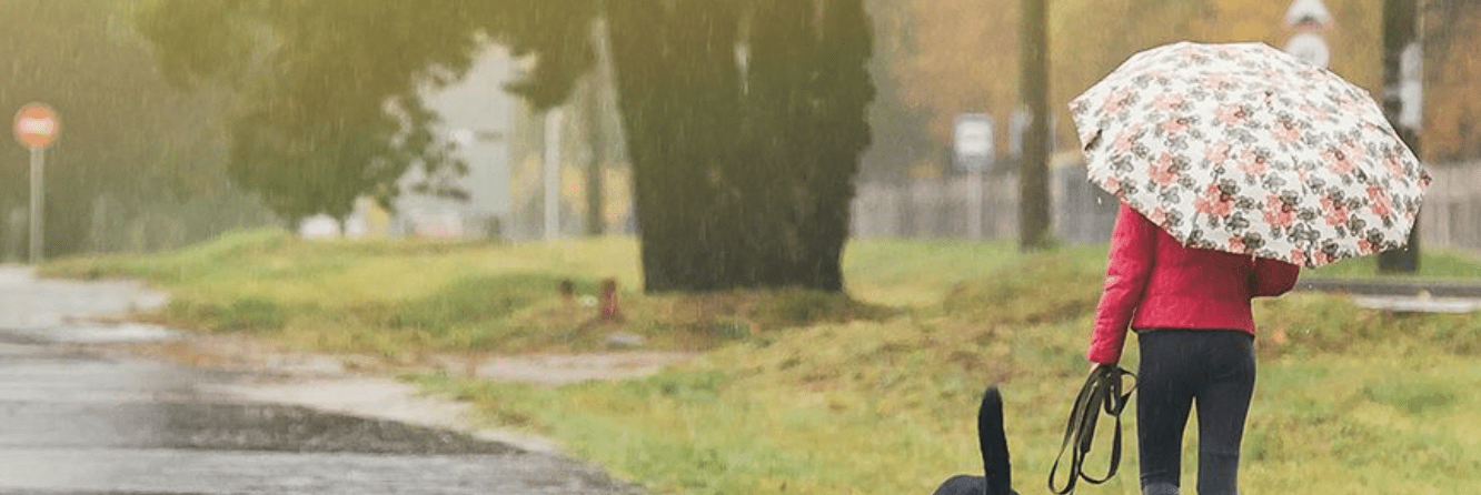 Cold Week Ahead On The Weather Front