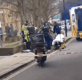 On Wednesday Afternoon, A Teen Was Stabbed In Maitland Park And Is In Critical Condition In Hospital