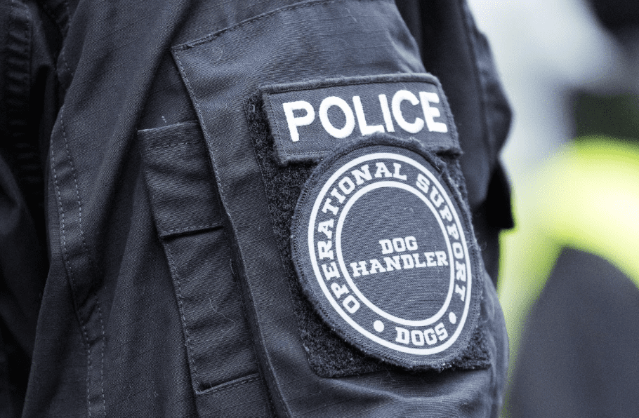 Four Suspects Were Chased Down And Detained By A Police Dog After A High-speed Pursuit