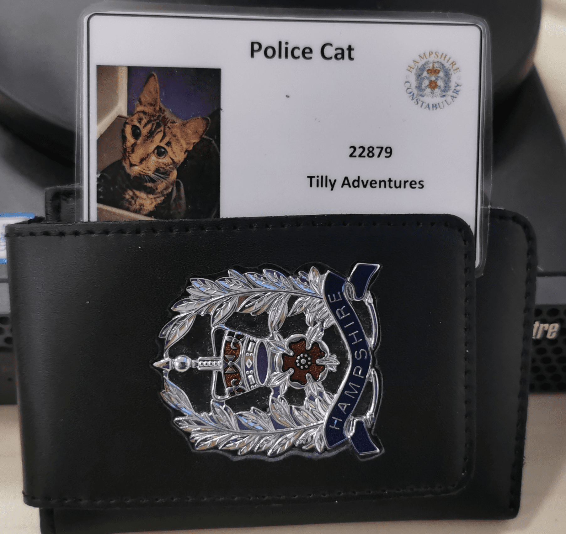 A Local Celebrity Bengal Cat Who Rules The Streets (and Treats) In Gosport Has Been Given The Top Status "police Cat".