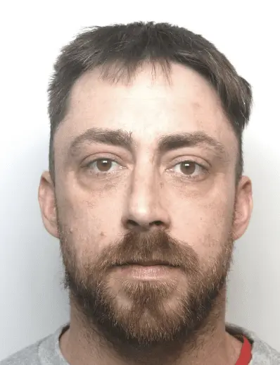 Brutal Llanelli Attacker Darren Nicholas Jailed for 33 Months After Faking Dog Injury Excuse