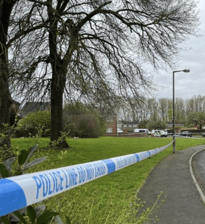 A Woman In Her Forties Was Discovered Dead In Bostall Woods