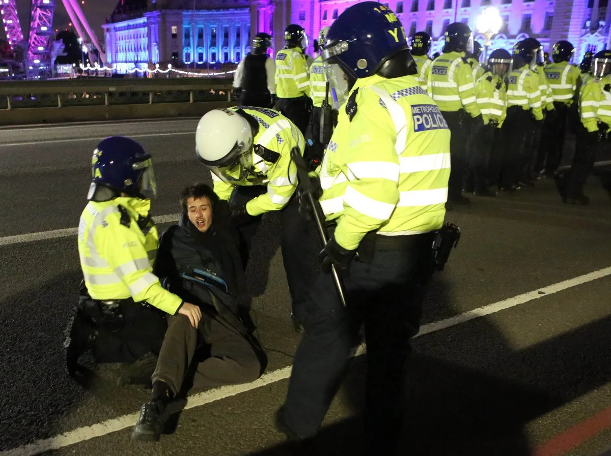 Twelve people have been arrested as part of the ongoing demonstrations in central London