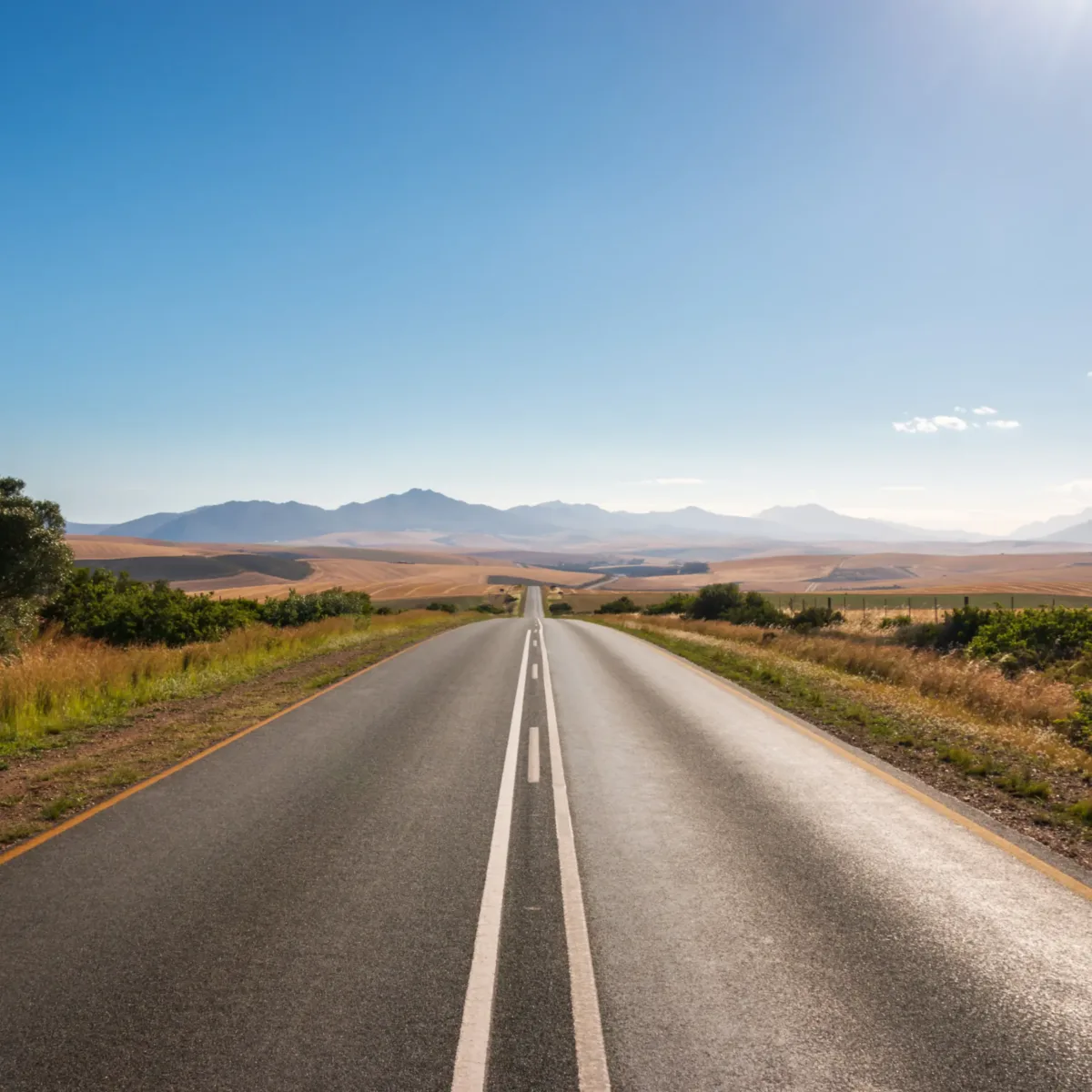 Tragic Head-on Collision In South Africa Claims 20 Lives