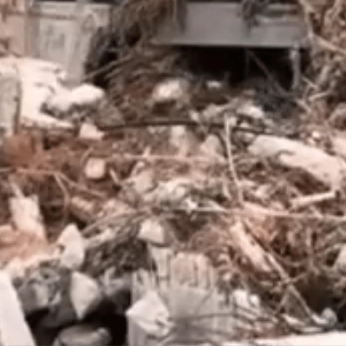 Libya Flood Horror: Storm Daniel Floods Kill Up to 3,000, 10,000 Missing in Eastern Disaster