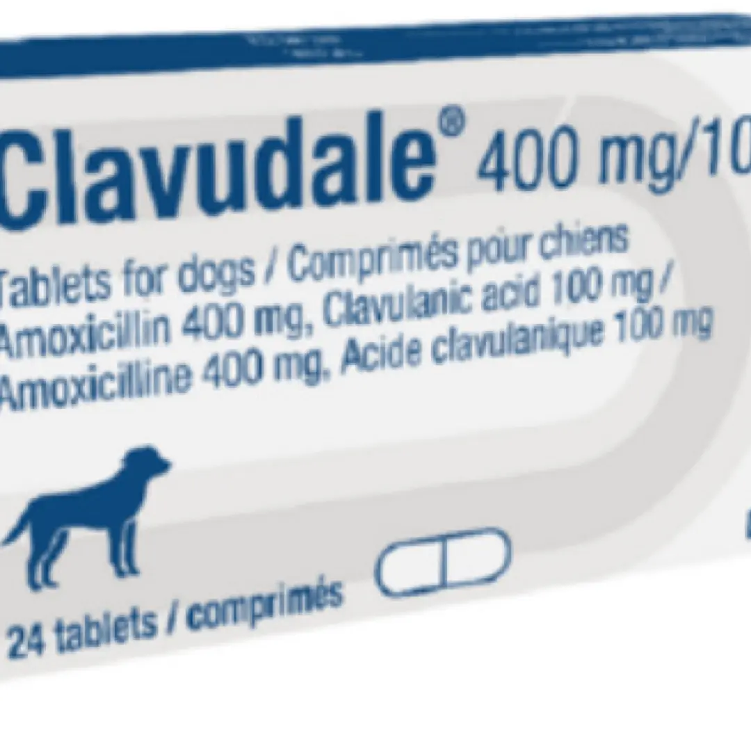 Important Recall Alert for Dog Owners: Clavudale 400 mg/100 mg Tablets