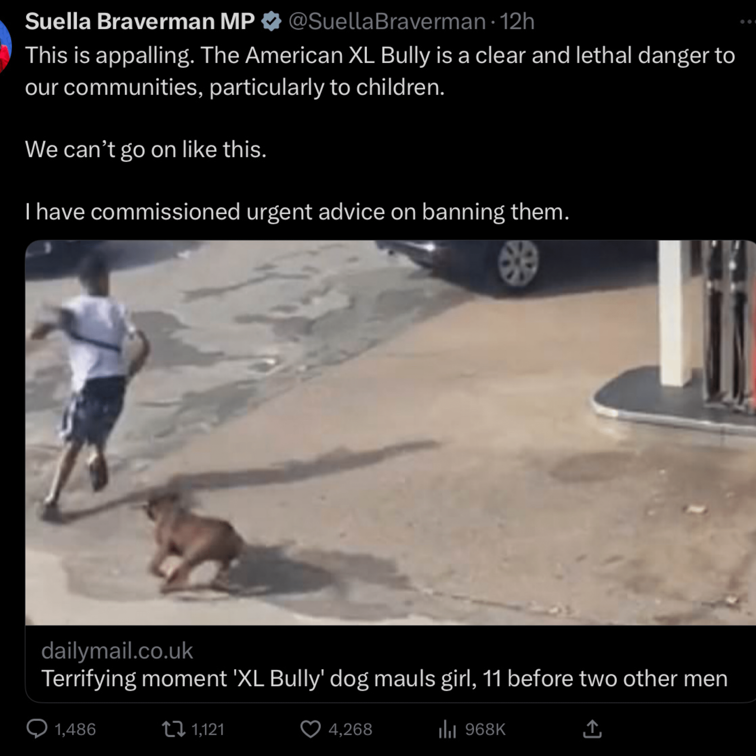 Home Secretary Calls For Ban On American Xl Bully Dogs Amid Safety Concerns