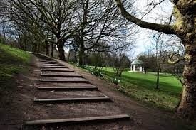 A Tragic Death Of A Child Has Been Confirmed After Emergency Services Were Called To A Park