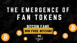 Amplifying Flamingo's Fan Experience With The Mengo Fan Token And Increased Participation