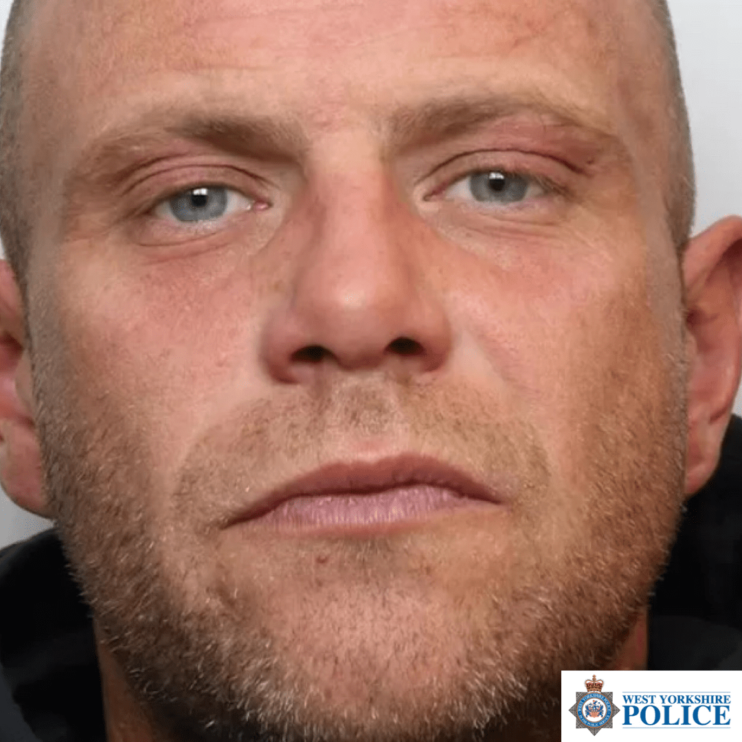 Man Jailed For Cruel Attack On Horses In Leeds