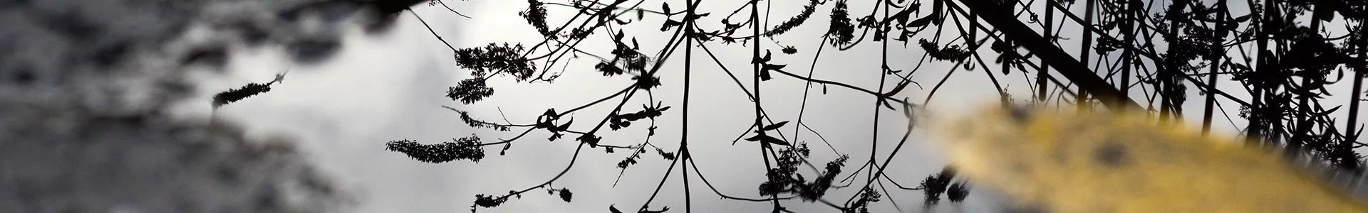 Wettest March In Over 40 Years For England