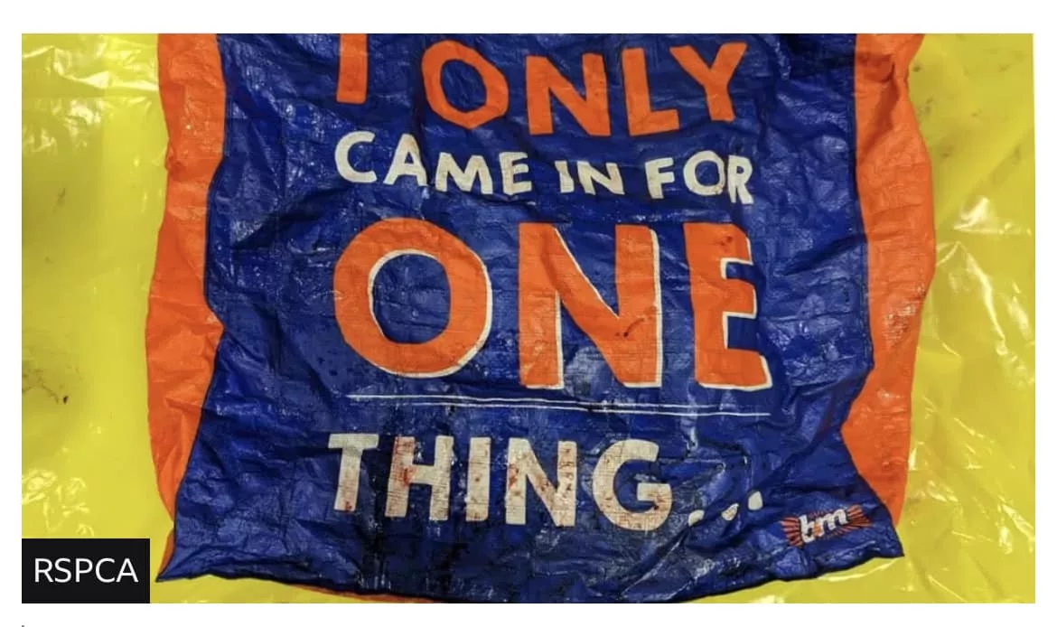 A Dog Has Died After Being The Subject Of A "savage And Prolonged Attack", The Rspca Said