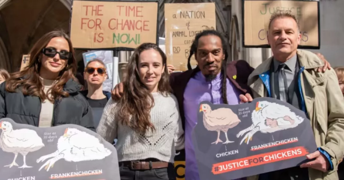 The Welfare Of Cheap Supermarket Chickens Has Long Been A Contentious Issue