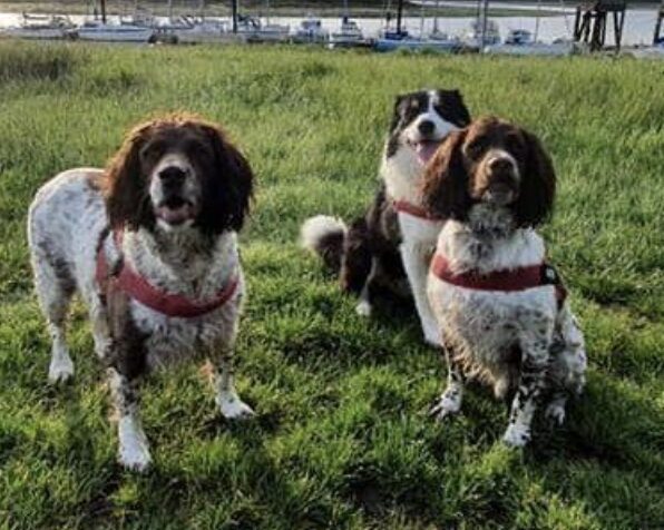 The Hampshire And Isle Of Wight Fire Dogs Have Set Off On A Charitable Mission To Support Their Four-legged Pals At Dogs Trust