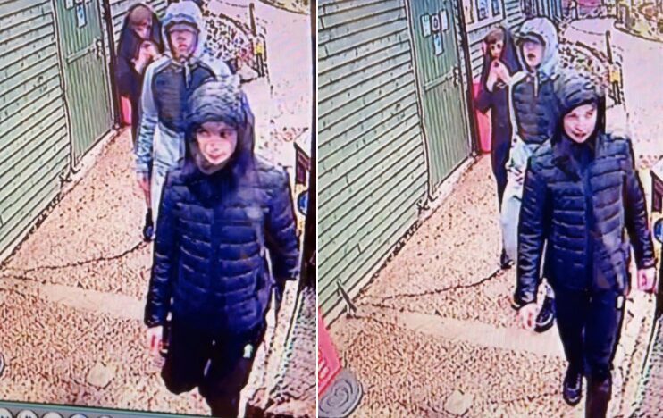 Three More Feral Yobs Carry Out Targeted Attack On Southsea Model Village In Broad Daylight Attack