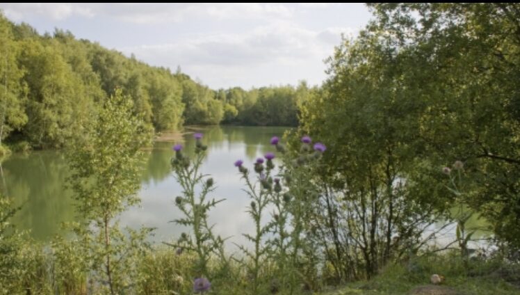 Police Are Appealing For Witnesses After Two Year Old Boy Was Found Unresponsive In Water At Swanwick Lake