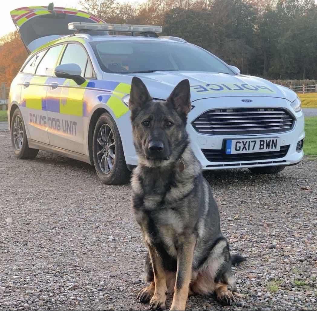 Family Name Teenager Killed In Fatal Crash Carrying Six Near Ashford