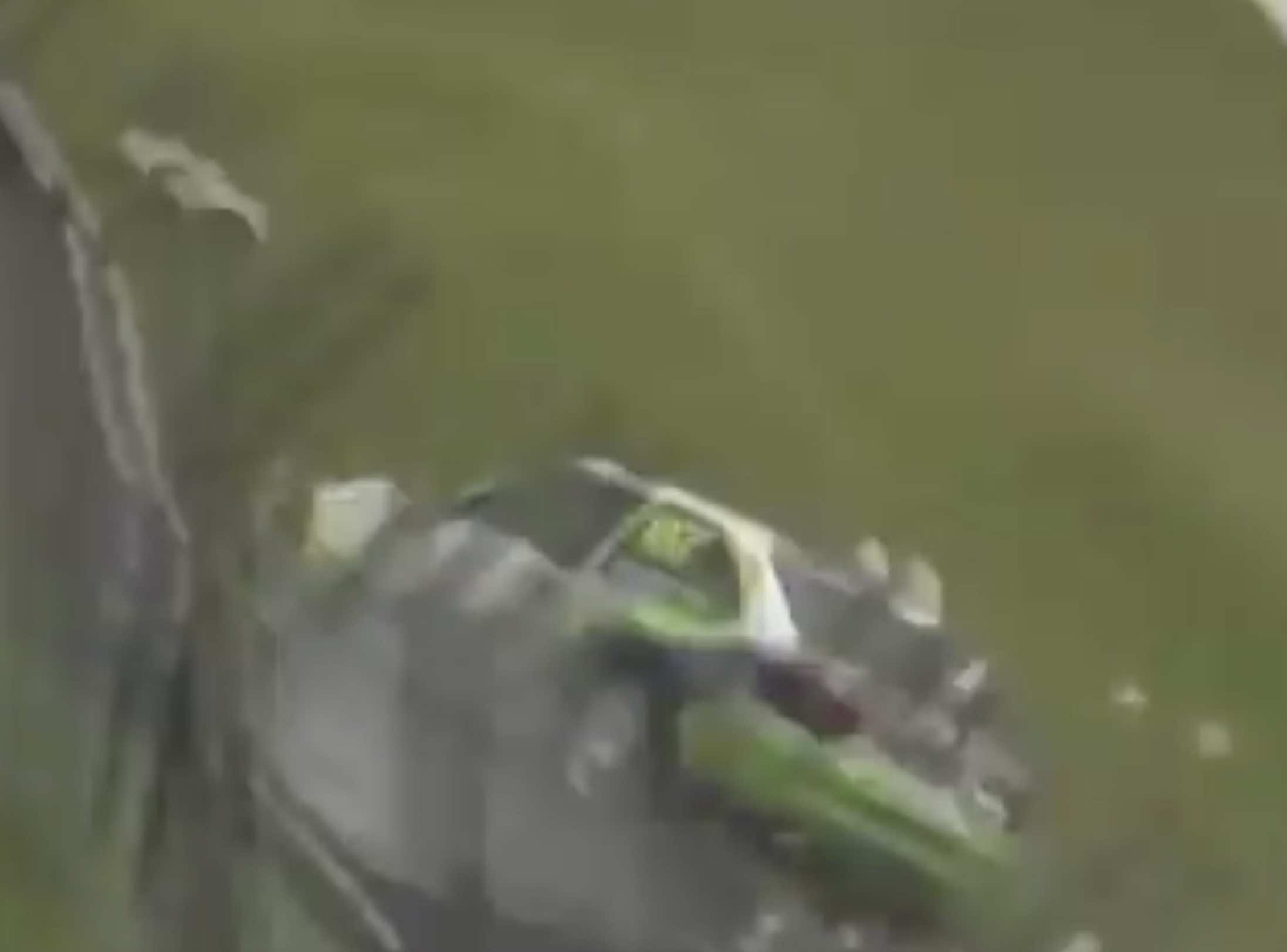 Race Marshal Killed In Freak Collision At Brands Hatch