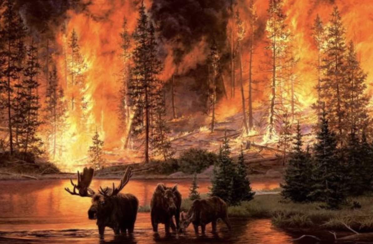 Tourists Evacuated From Burning Med Resorts As Fires Rage Across Southern Turkey