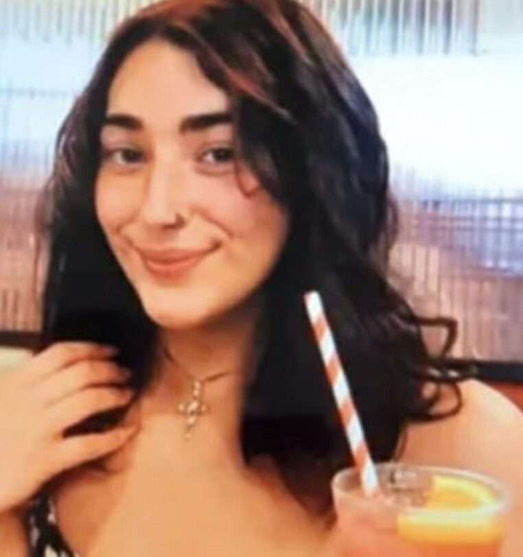 Can You Help Police Find A Missing Girl From Hambledon?