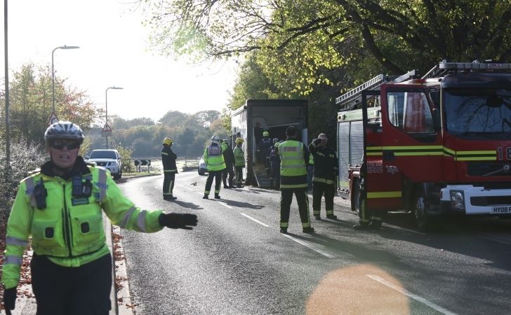 Fifteen Fire Fighters And A Traffic Warden Rescue Horse Stuck In Gosport