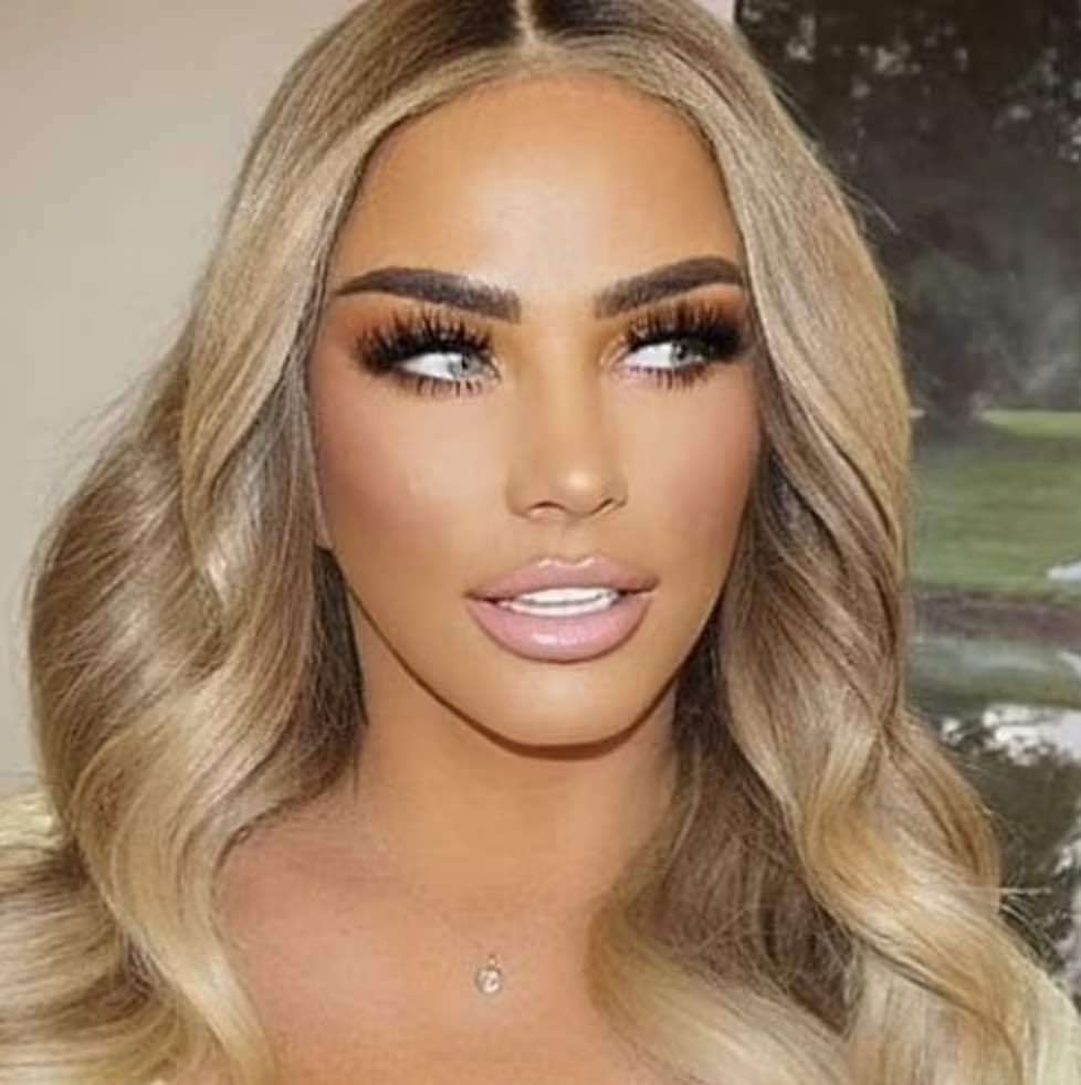 The Partner Of Katie Price Has Been Arrested After She Was Attacked  In The Early Hours On Monday