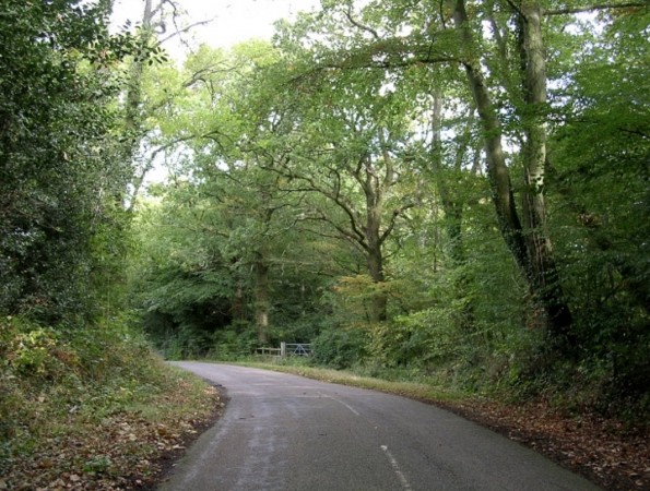 Police Appeal After Man Carries Out Indecent Act In Marchwood