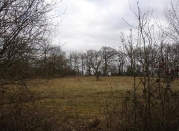 Dog Walker Attacked On Hazleton Common Waterlooville