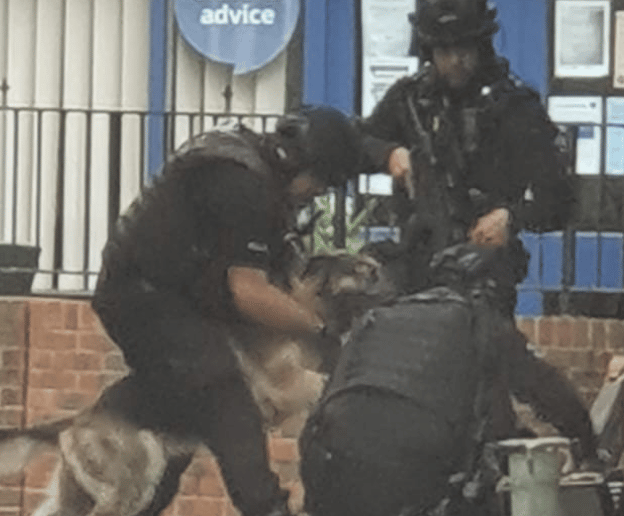 A Suspect Has Been Charged In Connection With Two Incidents In Folkestone, One Of Which Involved An Attack On A Police Dog And Its Handler