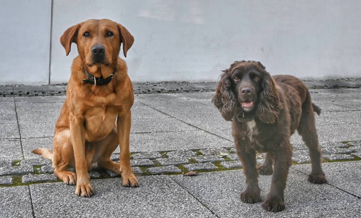 A Hidden Compartment Containing More Than 18,000 Illegal Cigarettes Was Discovered At A Shop In Gravesend During A Joint Operation Involving Police And Kent County Council Trading Standards