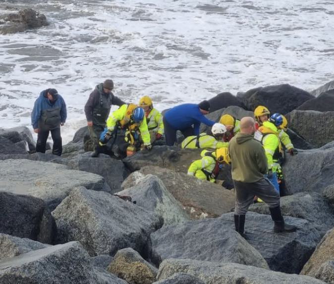 Fishermen Assist In Rescue Of Woman From Seaham Harbour