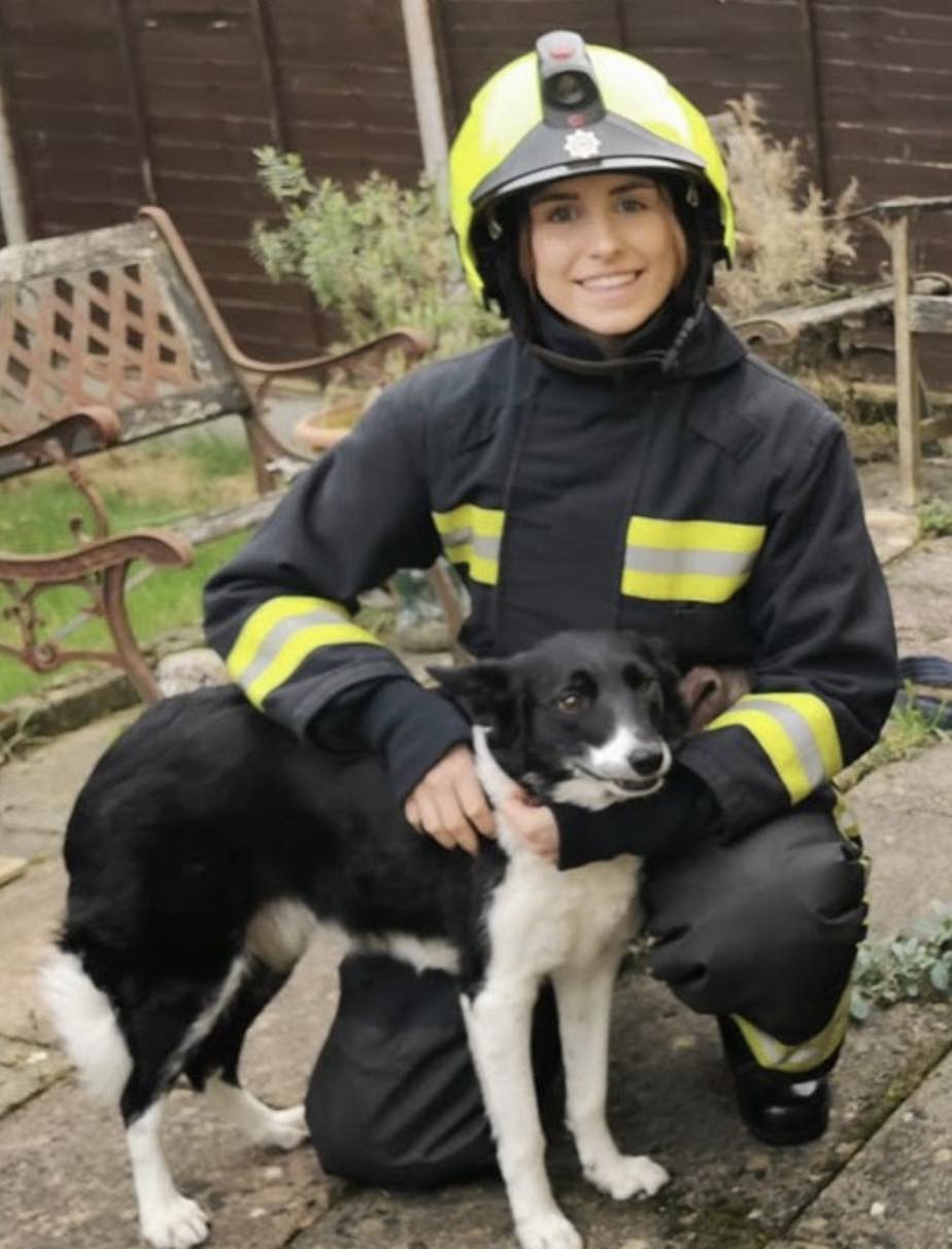 Potential Disaster Averted With Help From Chi Chi The Dog In Fire Drama