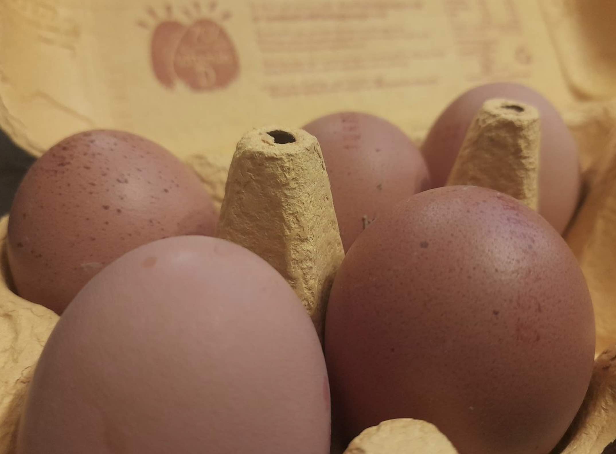 Free-range Eggs Will No Longer Be Available Across All Retailers