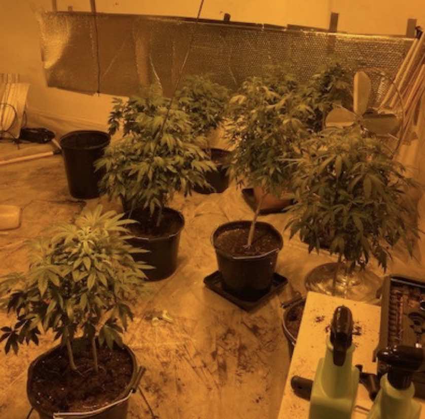 Police In Gosport Have Executed A Drugs Warrant At A Property