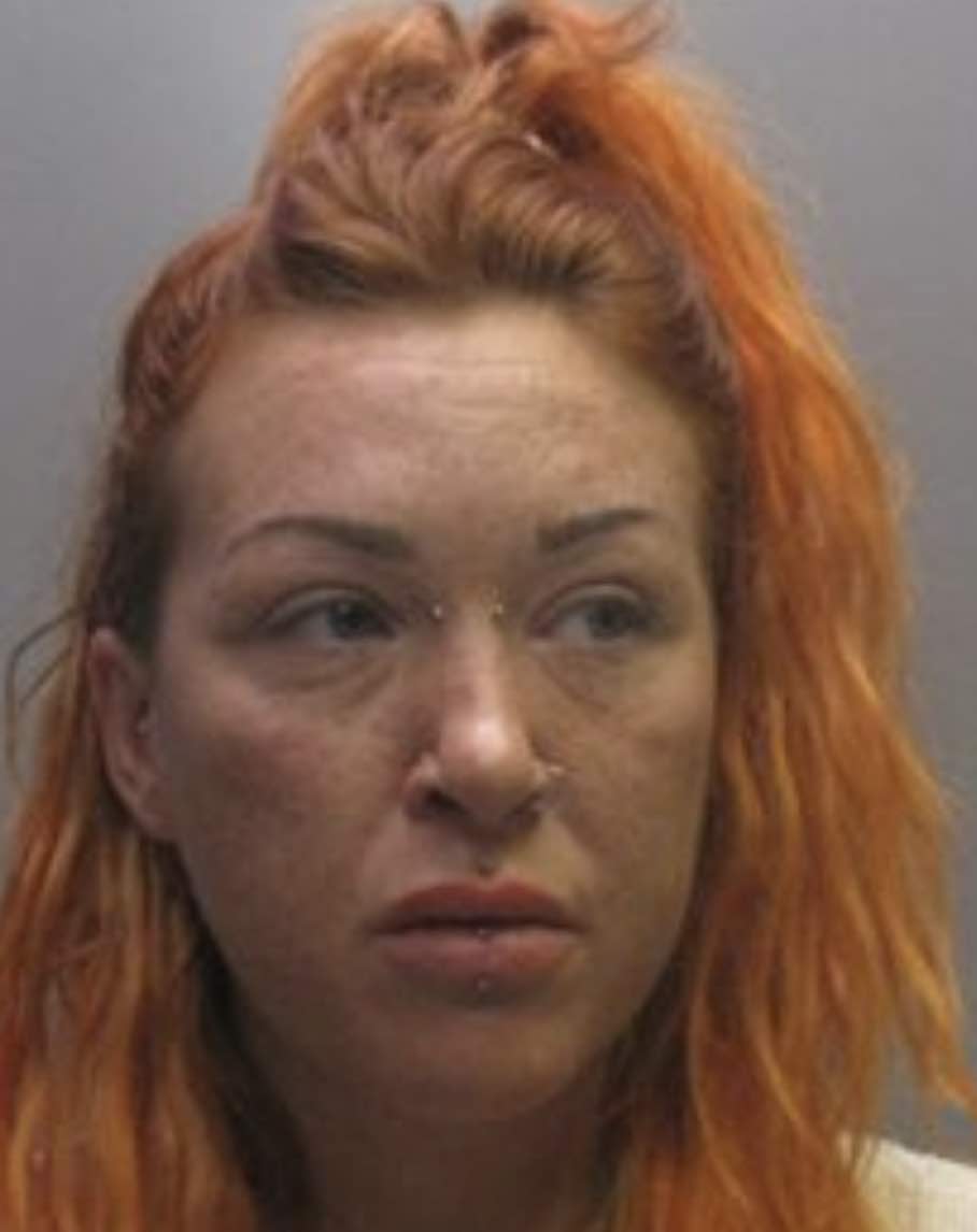 A Drink Driver Whose Actions Caused The Death Of A Beloved Family Dog And Left Another Woman With Spinal Injuries Has Been Jailed