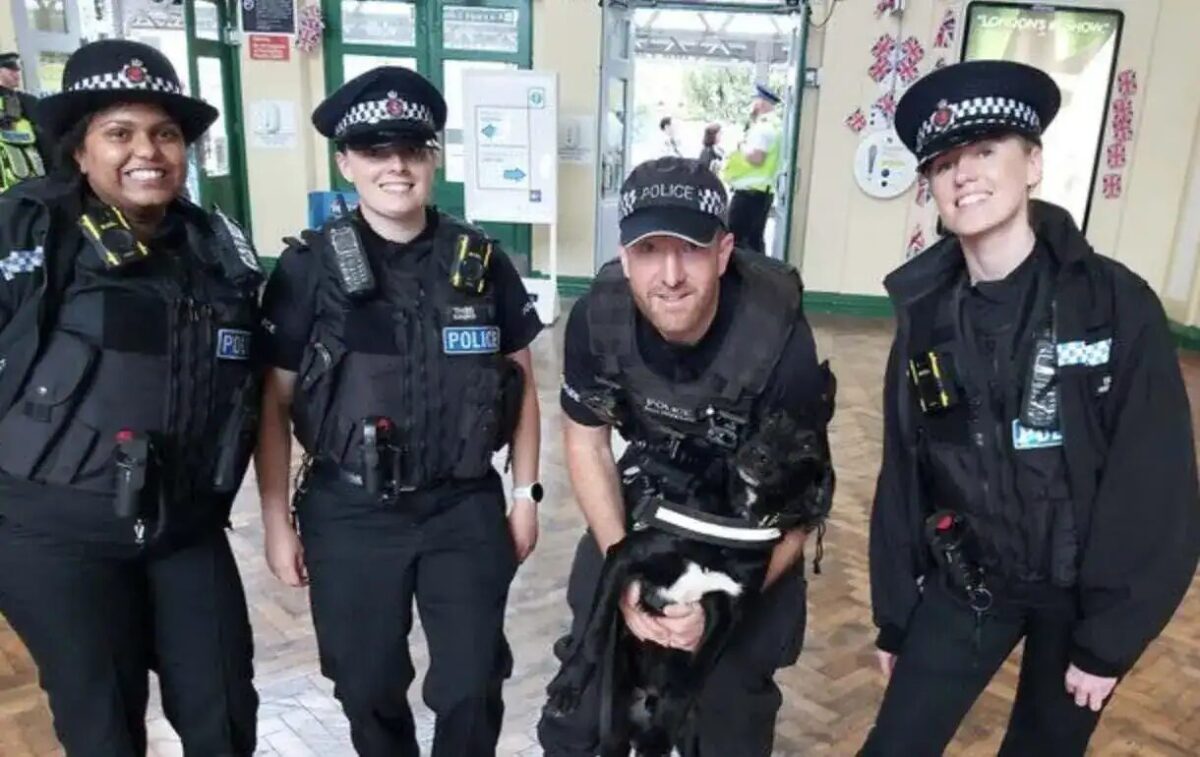 A suspected drug dealer was arrested, and officers stopped more than 25 people as part of their efforts to keep #Thanet safe in the summer evenings