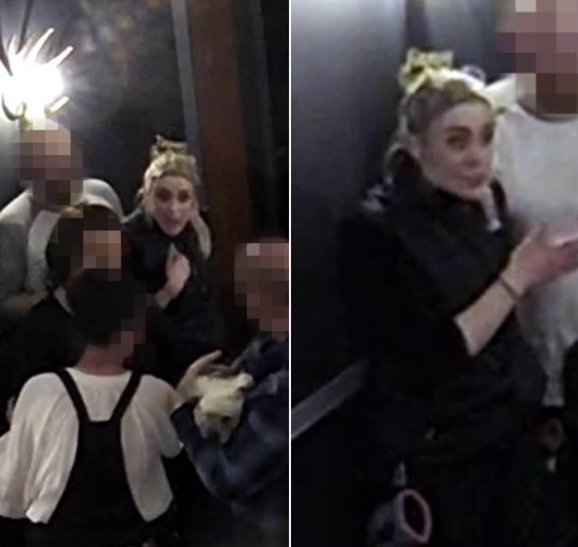 The Investigation Into The Loxley Dog Bite Incident Is Still Ongoing