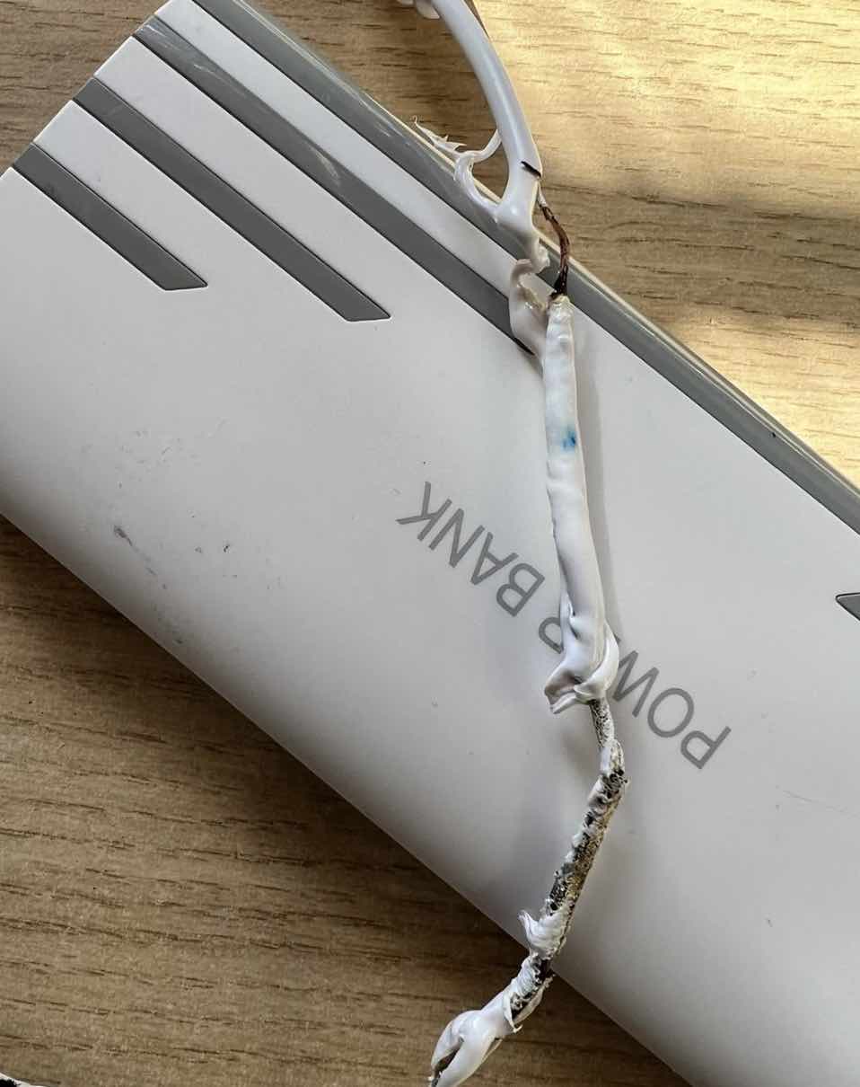 God Only Knows What Would Have Happened If They Had Been Out Or At Night