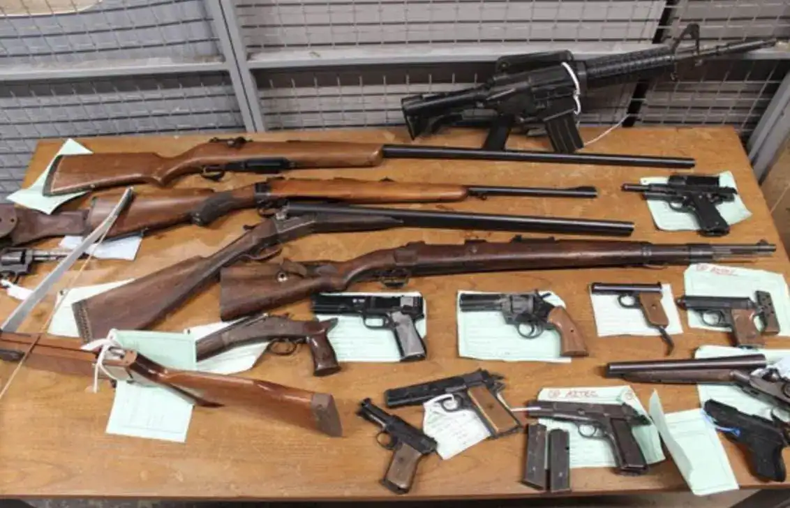 Wiltshire Police received 63 items handed in during the national firearms surrender between May 12 and 29, including firearms and live ammunition of various calibres.