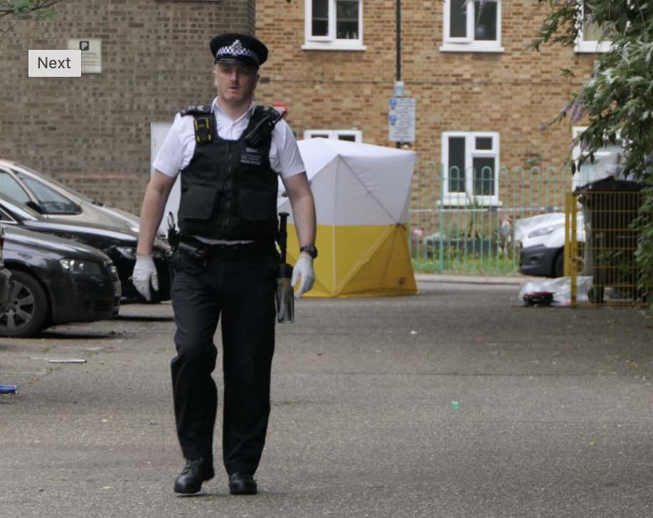 Following A Fatal Stabbing In Tottenham, Detectives Are Seeking Information And Witnesses